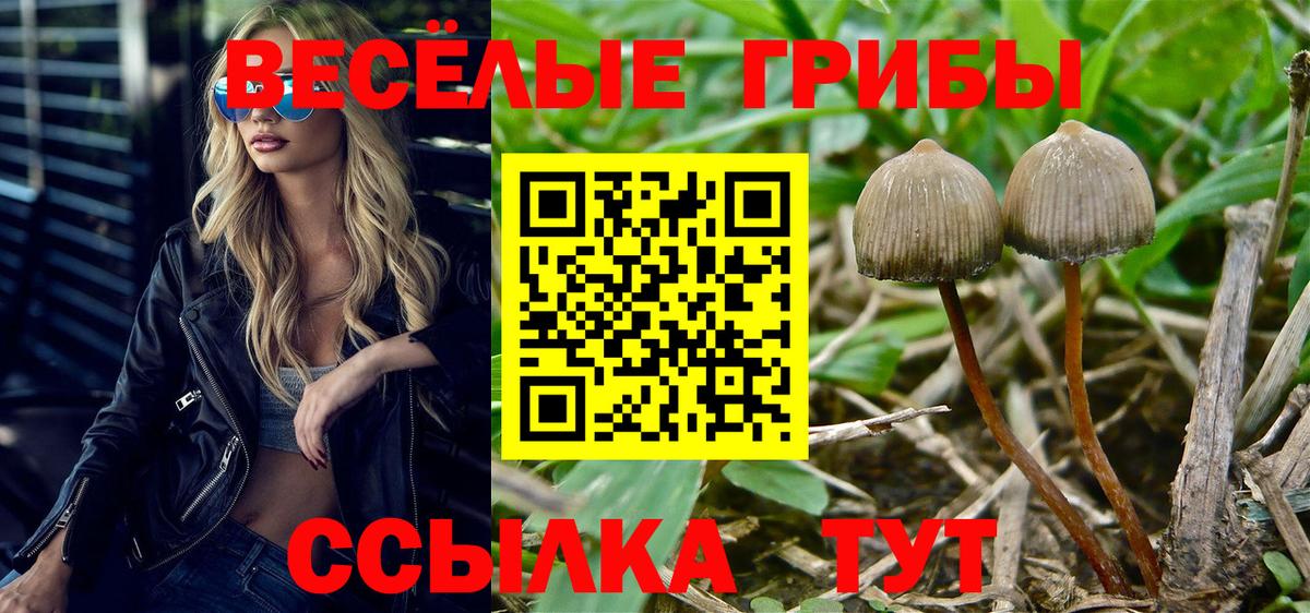 Псилоцибиновые грибы ЛСД Когалым