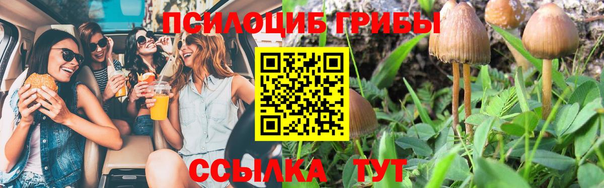 Когалым  Псилоцибиновые грибы MAGIC MUSHROOMS  Вход с VPN 